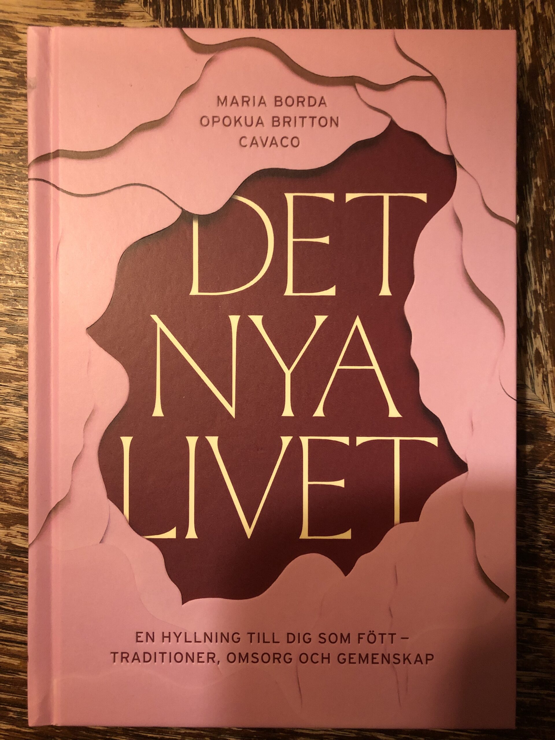 det nya livet: en hyllning till dig som fött - traditioner, omsorg och gemenskap
